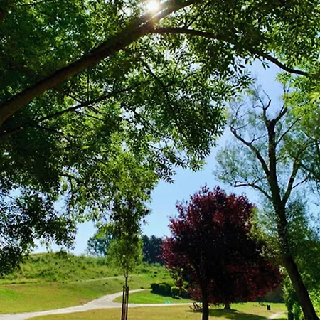 Pro Uniquement Pas Touristes Ou Familles Appartement